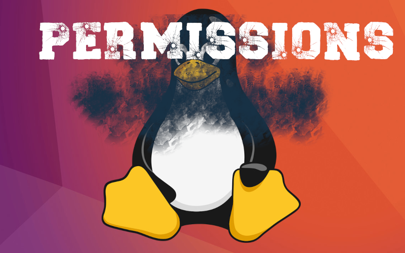 the permission